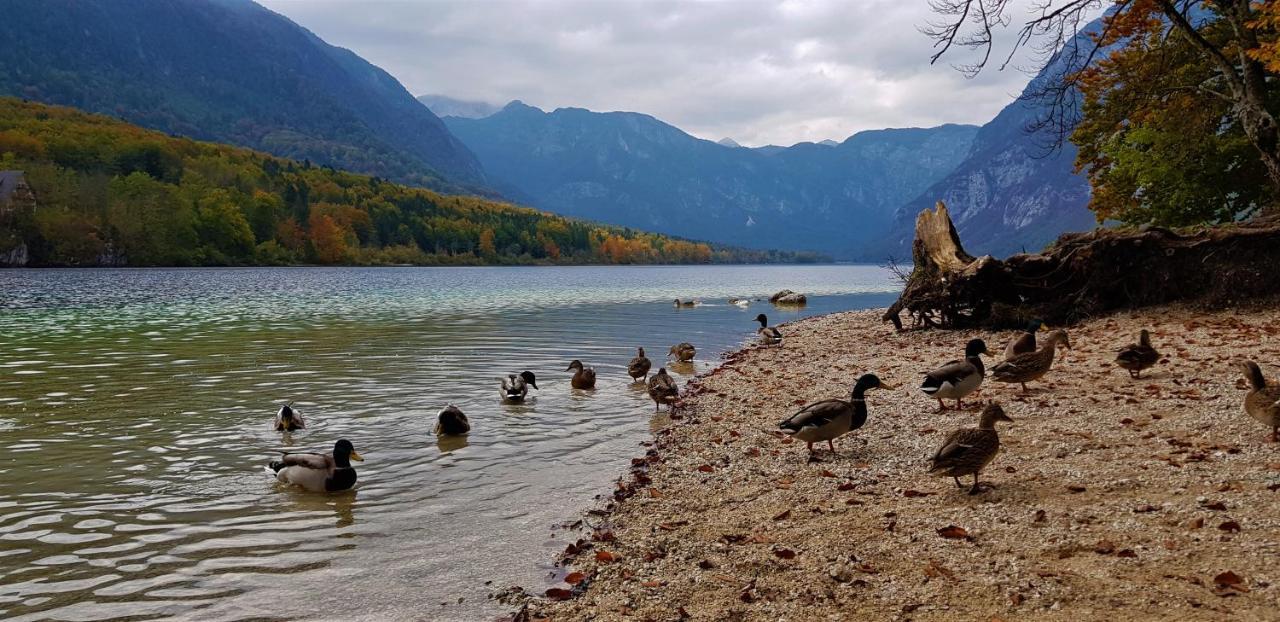 7 Lakes Apartment Bohinj Exterior photo